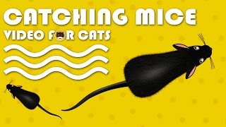 CAT GAMES  Catching Mice Entertainment Video for Cats to Watch  CAT amp DOG TV [upl. by Cresa]