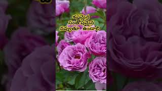 మంచి మాటలు lifequotes shorts goodvibes [upl. by Shelburne]