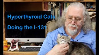 Hyperthyroid Cats Getting the I131 Radioactive Iodine [upl. by Aninaj]