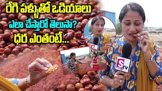 రేగి పండుతో వడియాలు తయారీ  Regi Vadiyalu In Telugu  Regi Pachadi  Jujube Fruit Recipe [upl. by Ahsirek]