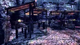 Skyrim  where to sell 4k gold vendors without speechcraft [upl. by Ognimod890]