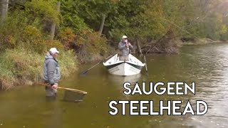 Steelhead on the Saugeen  Rod Position [upl. by Enyalb]