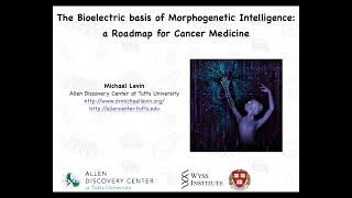 The Bioelectric Basis of Morphogenetic Intelligence a Roadmap for Cancer Medicine by Michael Levin [upl. by Wilkens]