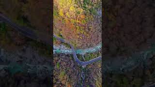 Amazing Dolomites fall [upl. by Lawlor]