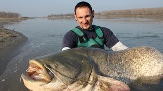 CATFISH 200 VS FISHERMAN by CATFISH WORLD [upl. by Enelrihs]