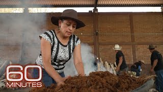 Mezcal producers preserve traditional methods as demand for liquor grows  60 Minutes [upl. by Bonny888]