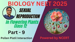 NCERT Class 12  Chapter 1 pollen pistil interaction [upl. by Richie]