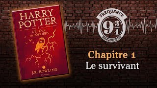 Le survivant Harry Potter 1 chapitre 1 [upl. by Erdei]