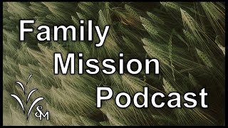 Family Mission  Zero to Hero [upl. by Aronal]