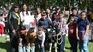 Positivo balance deja el 26º Concurso Crianza del Ternero en Sociedad rural de 9 de Julio [upl. by Jerrylee408]