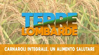 Terre Lombarde  Carnaroli Integrale un alimento salutare [upl. by Etteve]