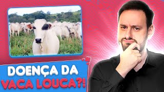 TUDO SOBRE A DOENÇA DA VACA LOUCA [upl. by Animsaj]