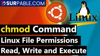 Linux File Permissions  chmod Command in Linux [upl. by Florida]