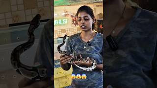 விளையாட்டு பொம்மை 😍 பைத்தான்  python in Tamil [upl. by Ecinrev]