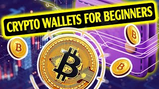 CryptoEntry Wallets for Beginners  The Ultimate Guide [upl. by Haymo]