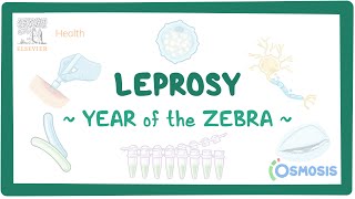 Leprosy Year of the Zebra [upl. by Anyotal173]