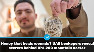 Beekeepers Reveal The Healing Wonders of UAE Mountain Honey [upl. by Yelssew]