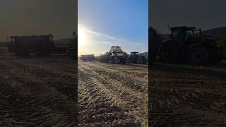 🤩🤤2Case IH Optum and Holmer🤤🤩 case holmer agro agriculture shortvideo shorts [upl. by Else498]