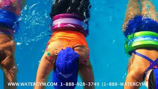 Water Float Belts in Fun Tropical Colors by WaterGym® [upl. by Reinold]