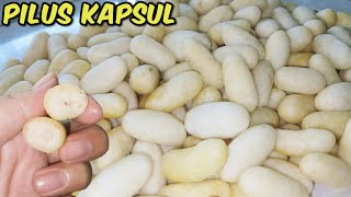 GURIH‼️PUNYA TAPIOKA DAN BAWANG BISA JADI PILUS KAPSUL RASA BAWANG [upl. by Noelopan]