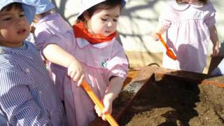 FIZEMOS UMA HORTA  Sala Laranja  Creche e Jardim de Infância  MUNDOS DE VIDA [upl. by Ane371]