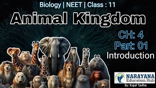 Animal Kingdom Class 11 Biology CH4 NCERT  Classification Of Animals Animated Video3D English L1 [upl. by Stephan849]