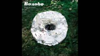 Bonobo  Between The Lines feat Bajka [upl. by Pierce]