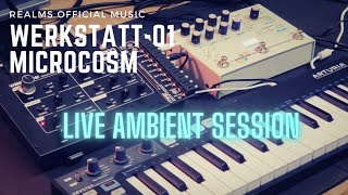 Microcosm  Werkstatt01 Live Ambient Jam Session Relaxing Ambient [upl. by Suilmann]