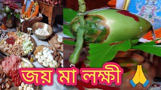 শুভ কোজাগরী লক্ষী পূজো 🙏🌷lakshmipuja APLifestyle441 [upl. by Peggy409]