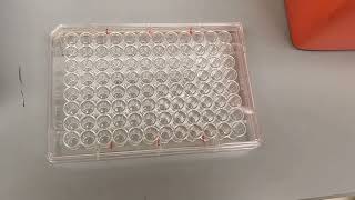 Measuring protein concentration and sample denaturation [upl. by Namzaj819]