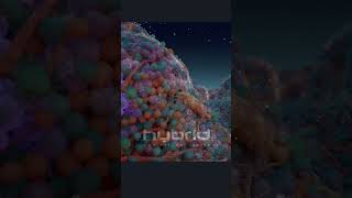 Tumor microenvironment animation  tumor animation  tumor growth  cancer immunotherapy [upl. by Boni643]