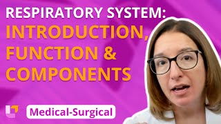 Respiratory System Introduction Function amp Components  MedicalSurgical  LevelUpRN [upl. by Ahsitram]