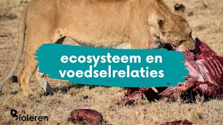 Bioleren  ecosysteem en voedselrelaties [upl. by Bakerman]