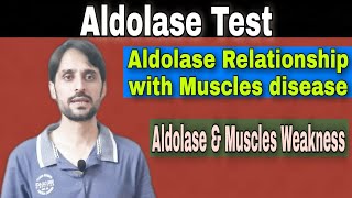 Aldolase Test  Importance in Muscles Disease [upl. by Season385]