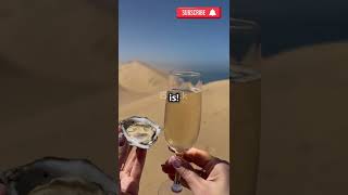 Think twice before sipping cactus water💧 shorts viral trending explorepagelike views [upl. by Whitnell]