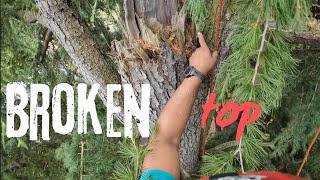 Certified Arborist Pruning Tree With Broken Top DRT Climbing [upl. by Oijimer]