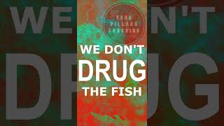 Clean The Tank  Dont Drug The Fish [upl. by Readus]