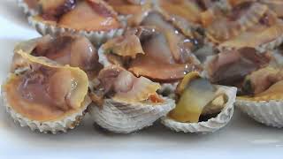 Blood Cockles Clams​ Recipe cooking Yummy Food [upl. by Rafaelita]