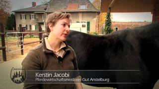 Loesdau Lessons Basics mit Kati Das Pferd pflegen und putzen Teil 1 [upl. by Lenard]