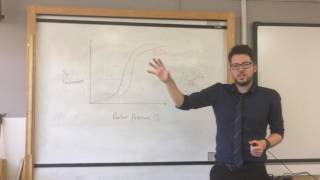 ALevel Haemoglobin curve and Bohr shift [upl. by Niajneb]