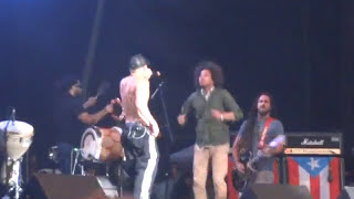 Calle 13 feat Zack de la Rocha Rage Against The Machine If you Fear Dying Wirikuta Fest [upl. by Hoye]