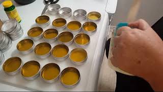 Making A Chickweed Salve [upl. by Olpe]