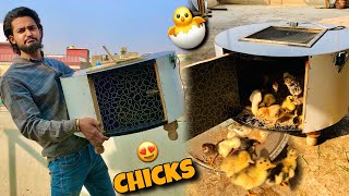 Chicks K Liye Brooder Le Aye😍 Bacho Wali Machine Agai  Chicks Care Challenge 🐣 [upl. by Ramso]