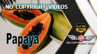 No Copyright Videos  Tasty Fruit Papaya  Educational  Fruit Lovers  No Copyright Zone [upl. by Angid]