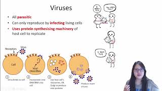 Chapter 13d  Viruses  Cambridge ALevel 9700 Biology [upl. by Rednirah]