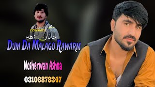 Dum Da Malago Rawarm  Nosherwan Ashna  New Pashto Songs 2024  Pashto Song 2024 [upl. by Vins268]