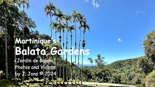 A Visit to Martinique’s Botanical Balata Gardens [upl. by Lai]