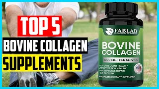 Top 5 Best Bovine Collagen Supplements in 2024 [upl. by Neeliak]