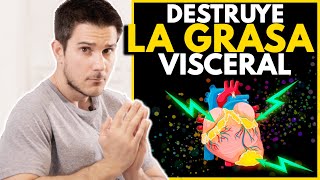 51 CLAVES Para DESTRUIR La GRASA VISCERAL ADELGAZAR y Mejorar Tu SALUD [upl. by Teik]