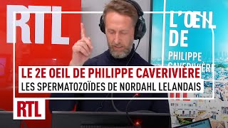 Le 2e Oeil de Philippe Caverivière  les spermatozoïdes de Nordahl Lelandais [upl. by Flower]